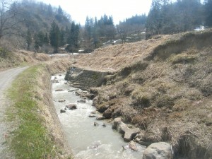 DSCF9581