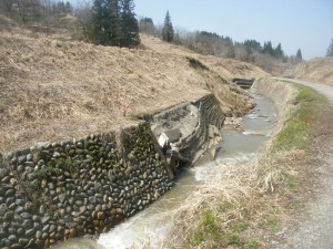 DSCF9587