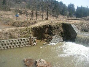 DSCF9613